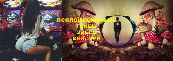 не бодяженный Алексин
