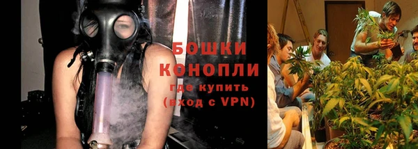 дурь Алзамай